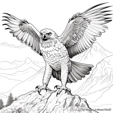 Falcon Coloring Pages Free Printable