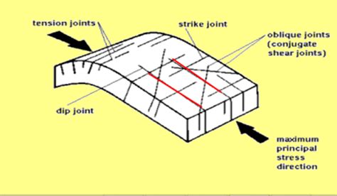 Red color lines showing dip joints