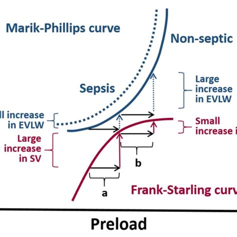 The Marik Phillips Curve And The Frank Starling Curve Correlating