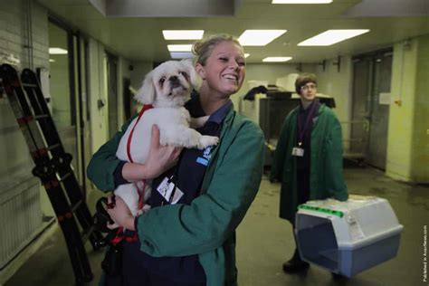 Heathrow Airport's Animal Reception Centre » GagDaily News