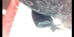 Upskirts Compilation Porn Videos