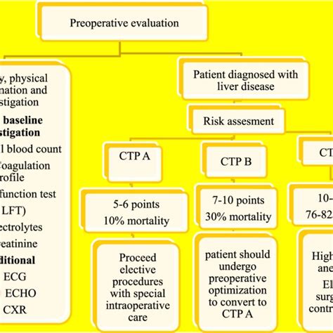 Preoperative Evaluation And Preparation Download Scientific Diagram