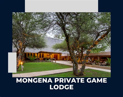 Mongena Private Game Lodge Dinokeng Game Reserve Gauteng – Live To ...