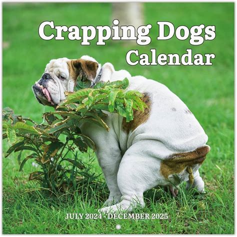 Fun Wall Calendars Liana Zaneta