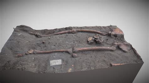 Test_skel - 3D model by Automat0n [e58e29c] - Sketchfab