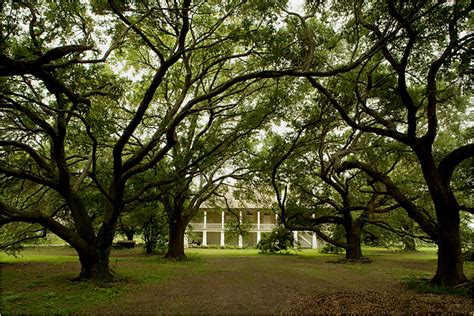 Louisianas African American Heritage Trail The New York Times