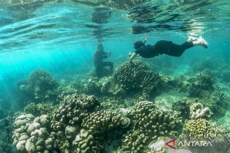 Ramai Wisatawan Ke Kepulauan Seribu Dampak Promosi Medsos ANTARA News