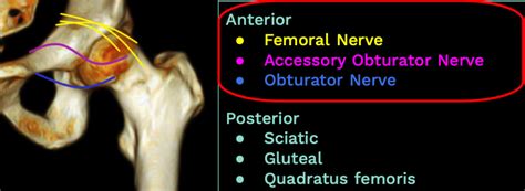 Pericapsular Nerve Group Block (PENG block) – Sinai EM