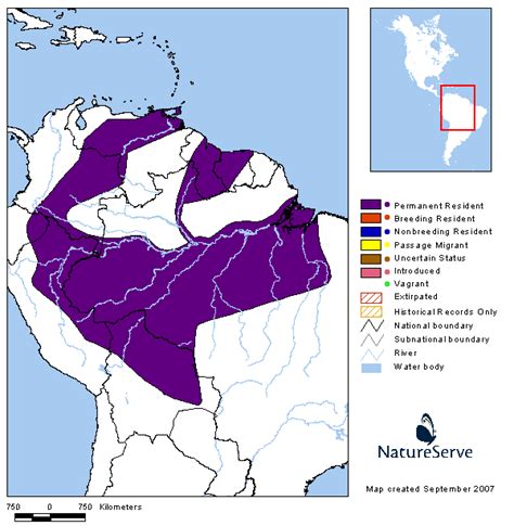 Americas Range Map Red Capped Cardinal