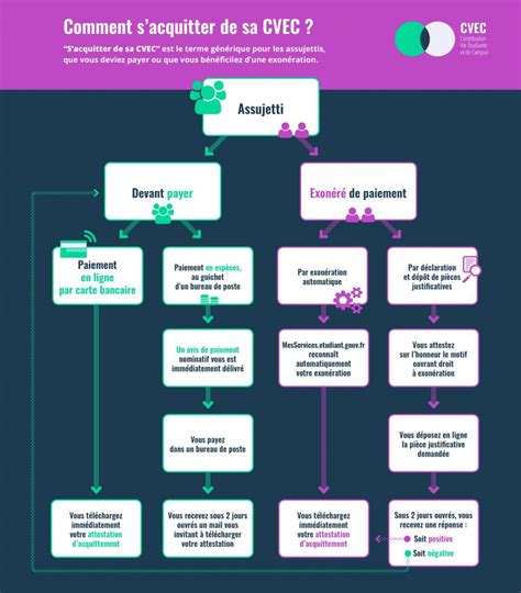 Cvec Tout Savoir Sur Lattestation étudiante Eegp