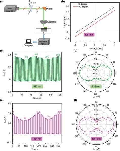 Polarized Photoresponse Of The Pdse2 Photodetector A Schematic