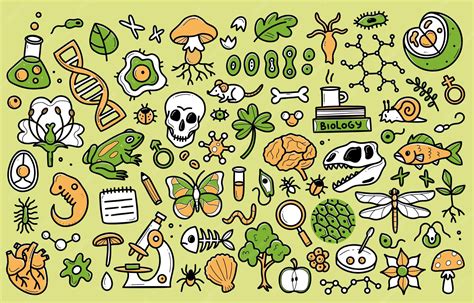 Premium Vector | Biology doodle set Collection of hand drawn elements ...