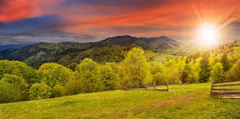 Fence On Hillside Meadow In Mountain At Sunset Stock Photo Image Of