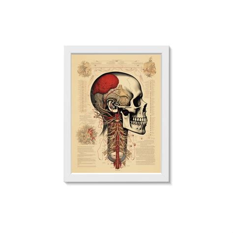 Quadro Decorativo Cabe A Vintage Neurologia Medicina Elo