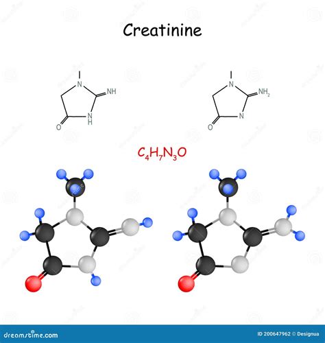 Creatinine. Chemical Structural Formula Stock Vector - Illustration of ...