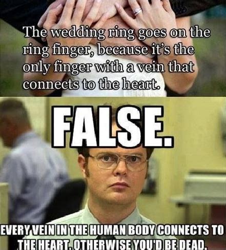 False The Office Quotes QuotesGram