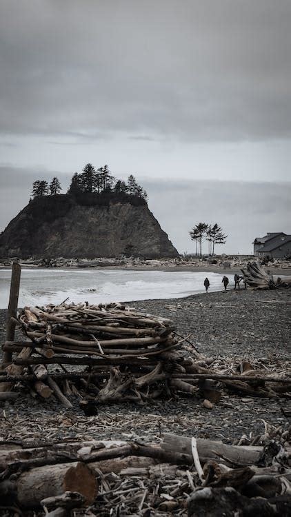 La Push Beach · Free Stock Photo