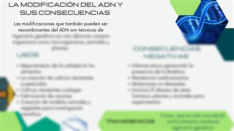 Solution La Modificaci N Del Adn Y Sus Consecuencias Studypool