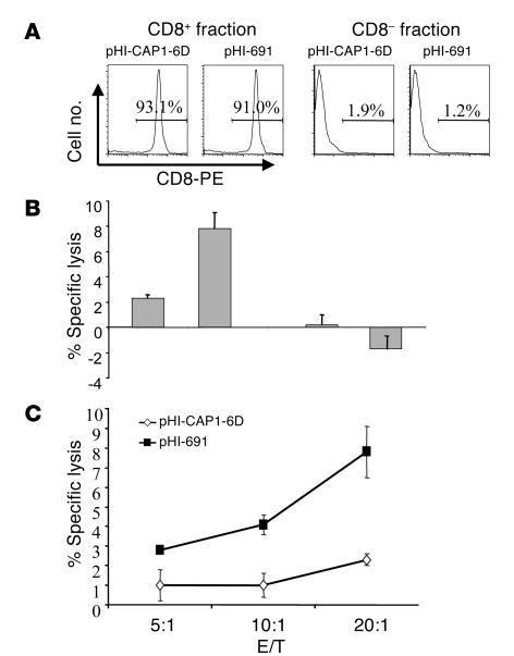 Mc38 Cells Bioz Ratings For Life Science Research