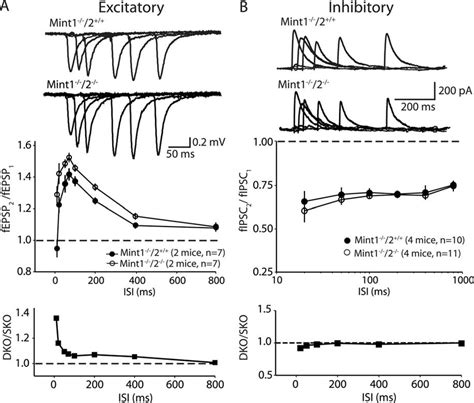 Excitatory And Inhibitory Synaptic Responses To Paired Pulse Download Scientific Diagram