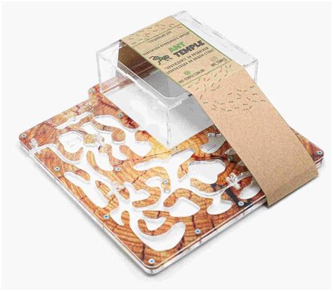 Как выбрать муравьиную ферму для ребенка: советы и рекомендации