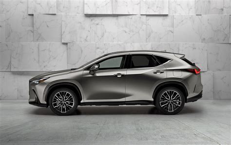 All New Lexus Nx Reveal Your Questions Answered Lexus Uk Magazine