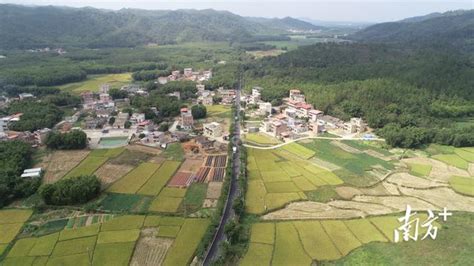 喜報！惠城區獲評「四好農村路」省級示範縣 每日頭條