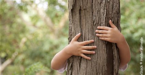 Wald wirkt Wald und Naturpädagogik mit Kindern und Jugendlichen