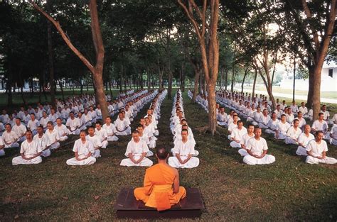 Vipassana Meditation — DOP