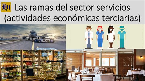 Las ramas del sector servicios actividades económicas terciarias