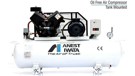 Hp Anest Iwata Oil Free Air Compressor At In Lucknow Id