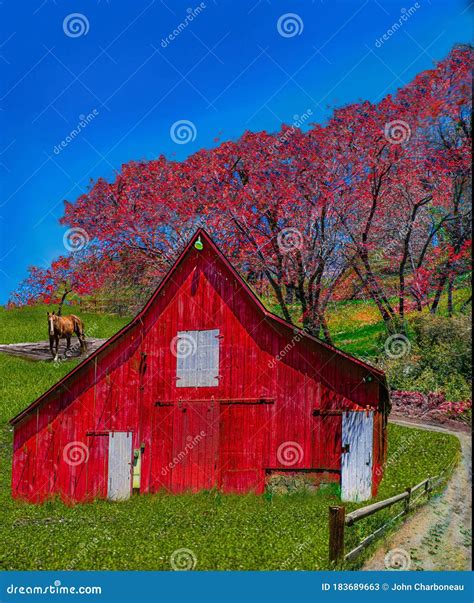 Horse Returning To The Old Red Barn Landscape Stock Image Image Of