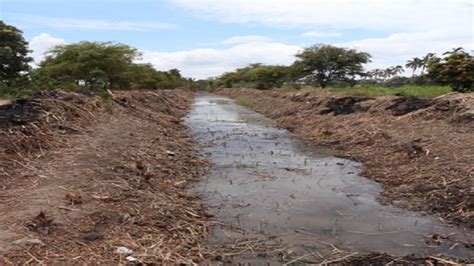 Pechp Finalizó Limpieza Y Descolmatación De Drenes San Carlos Y