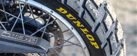 Trailmax Raid Maîtrisez toutes les surfaces et explorez Dunlop