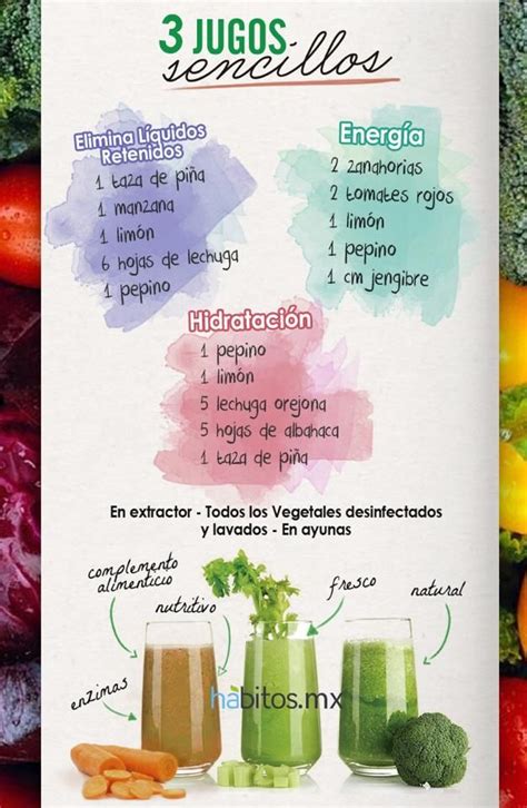 Introducir Imagen Recetas De Jugos Naturales Nutritivos Pdf