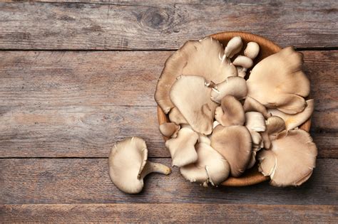 Best Shiitake Mushroom Substitutes For Cooking Tastylicious