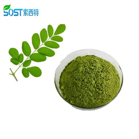 Wholesale Price 100 Natural Moringa Oleifera Leaf Extract Powder