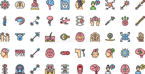 central nervous system icons high quality vector icons collection