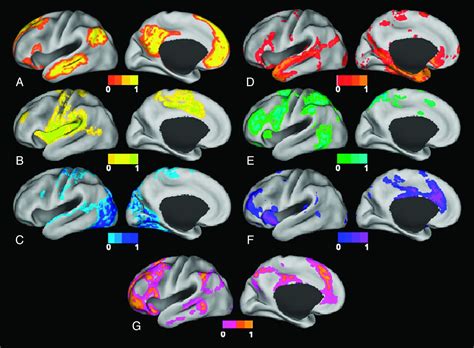 Resting State FMRI A Review Of Methods And Clinical Applications