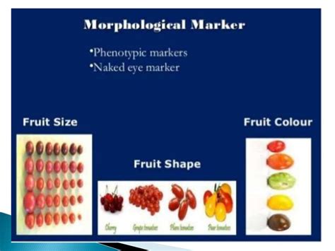 Genetic markers