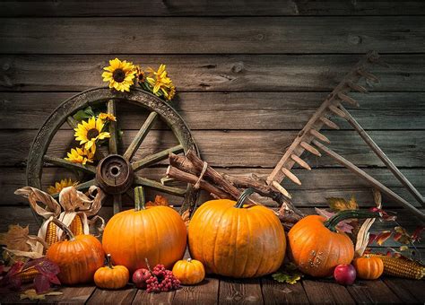 Sjoloon X Ft Halloween Wood Wall Backdrop Autumn Pumpkin Thanksgiving