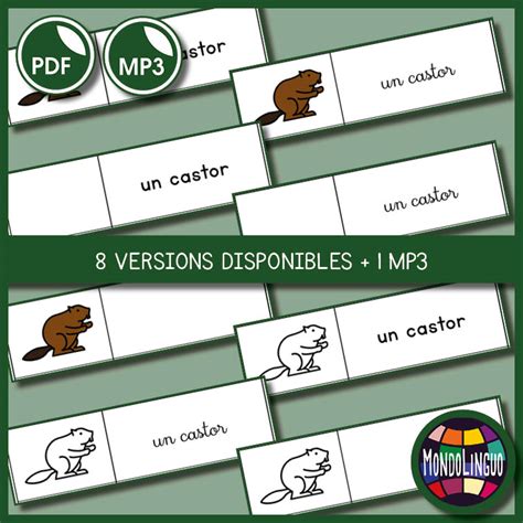 Cahier De Vocabulaire Animaux De La For T