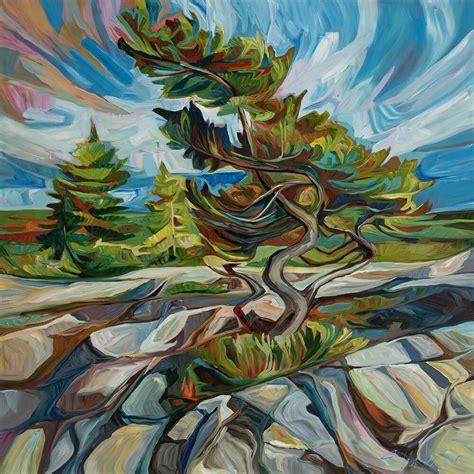 Windswept Killarney Tree Julia Veenstra