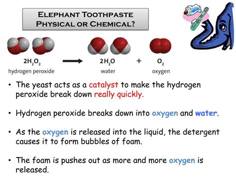 PPT - Elephant Toothpaste Physical or Chemical? PowerPoint Presentation ... 