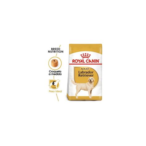 Royal Canin Labrador Retriever Adult