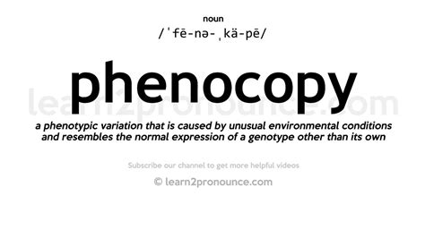 Pronunciation Of Phenocopy Definition Of Phenocopy YouTube