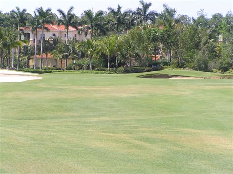 Tiburon Golf Club Gold Course Ritz Carlton Golf Resort Naples