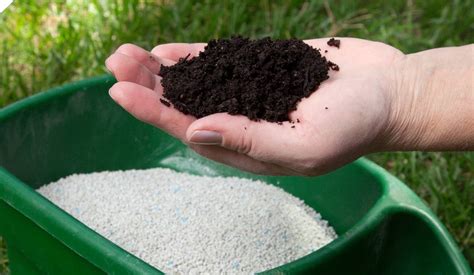 What Is A Starter Fertilizer Chicago Land Gardening