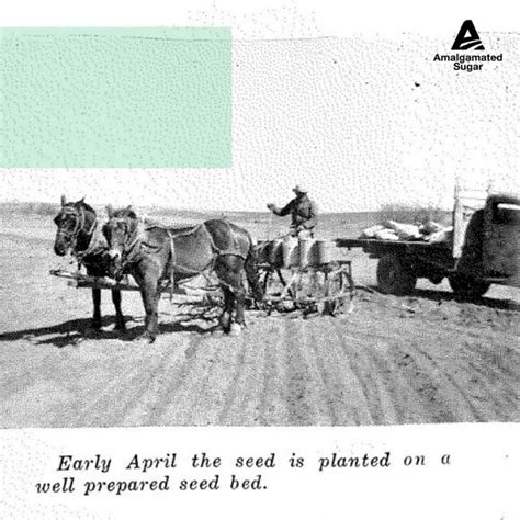 [video] Amalgamated Sugar Company On Linkedin Planting Sugarbeets Flashback Friday