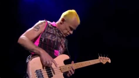 Flea Baixista Do Red Hot Chili Peppers Anuncia Novo Podcast Convidados Especiais Mundo